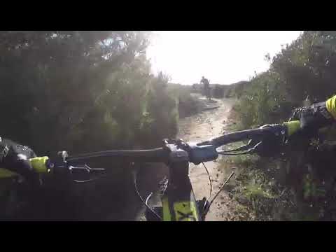 Test bike E1X carbon Olympia