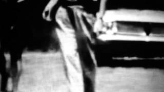 Sunny Graves : "Spring (Slow Return)" HD