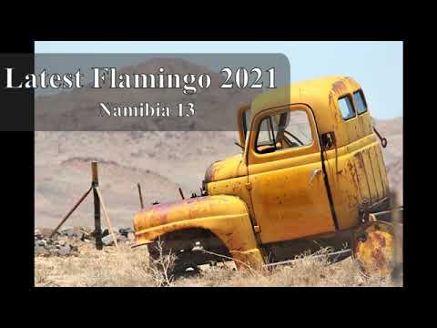 New flamingo 2020