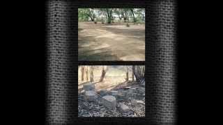 EVIDENCE:  The Fate of an Okinawan Internee from New Caledonia