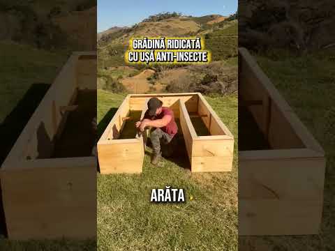 Această grădină ridicată anti-insecte protejează legumele împotriva tuturor dăunătorilor.