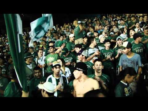 Coritiba 3 x 1 Fluminense- IAV -♫♪  verdão ê ô ♫♪