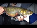 Video Thumbnail for Bangers and Brookies