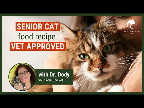 Senior Cat Food Recipe: Your Cat will LOVE it!
