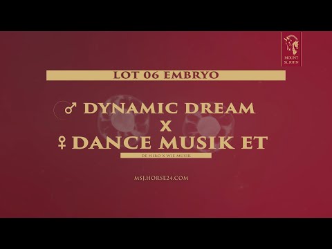 06 Dance Musik ET by Dynamic Dream