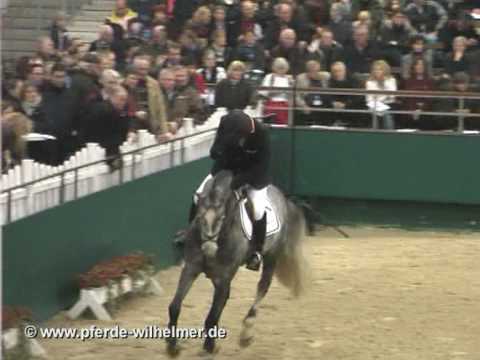 Con Spirit (Cornet Obolensky x Acorado)