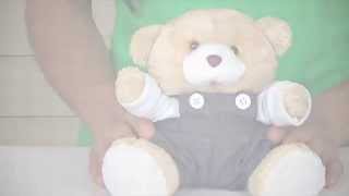 Urso M Arthur | Ref: 42816