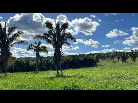 COMPRE / SÍTIO ALEGRIA 80.82HA / MONTE FORMOSO MG