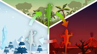 création d'onmyshop marketing et site web