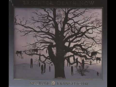 Brighter Death Now - Necrose Evangelicum (Full Album 1995)