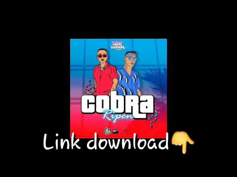 DJ Stephan x Ripen - Cobra ( Official Audio Link 👇)