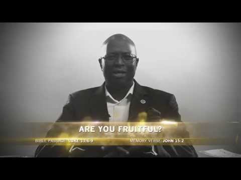 Open Heavens Reflections 02 February 2015 - ARE YOU FRUITFUL?