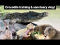 Crocodile training & sanctuary vlog!