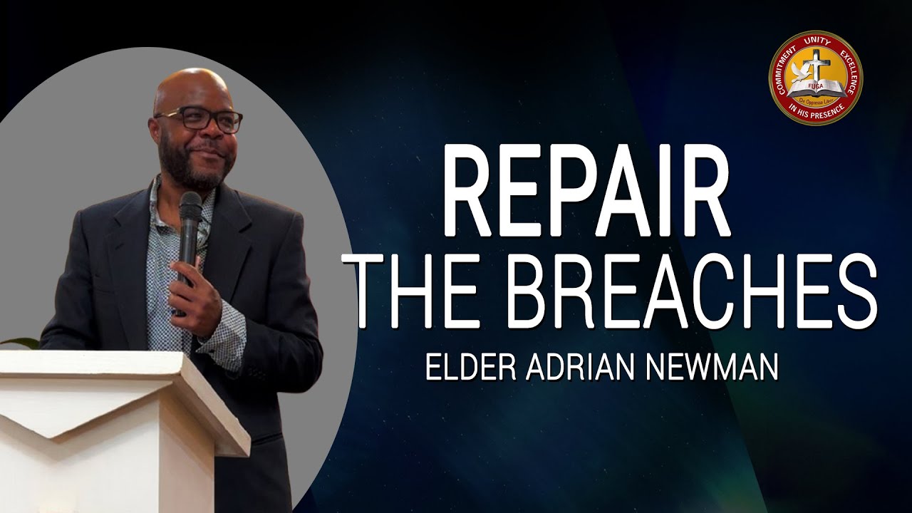 Repair the Breaches