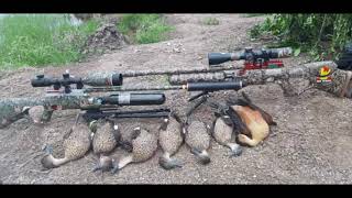 Download lagu suara pikat belibis 100% ampuh#sudah teruji di lapangan mp3