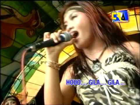 GILA trio macan ular