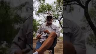 Prepotency of fowl