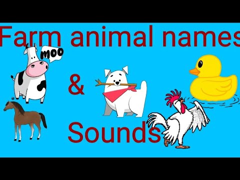 Farm animals name & Sound guessing game🐄🐑🐎