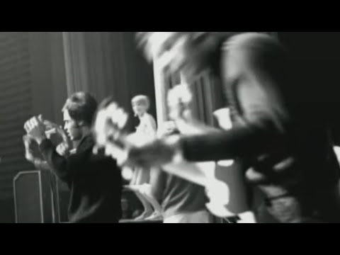 Love and Arthur Lee - Love Story Documentary 2006