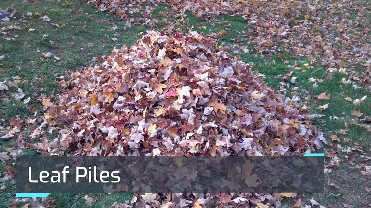 7 Great Family Fall Activities