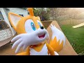 TAILS DON'T LOOK AT THE SUN!!!