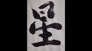 Japanese Lesson with Travel English by Yusuke Hoshi 旅で習得した英語による基礎的な日本語の稽古 星祐介