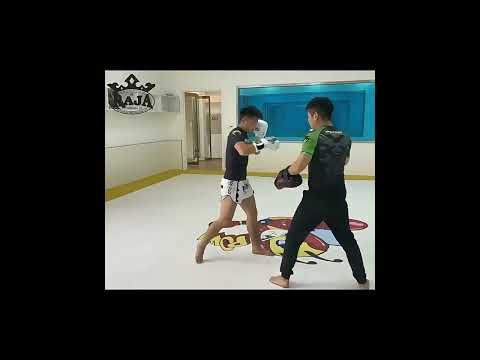 ~子甄彣璟~泰國品牌RAJA 超纖拳擊手套 拳套 比賽訓練 散打 自由搏擊 泰拳 搏鬥 拳擊防具