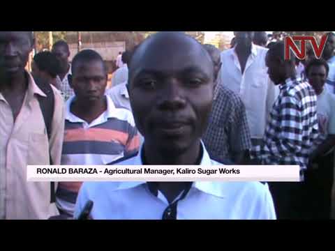 Kaliro residents celebrate getting onto electricity grid