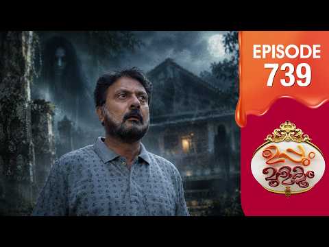 Uppum Mulakum 3 | Flowers | EP #739