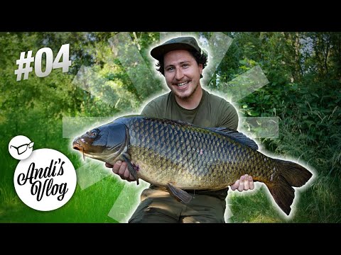 Andi´s Vlog #4 - Karpfenangeln auf Tour mit Andreas Hetzmannseder