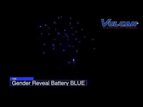 1066 - Gender Reveal Battery BLUE