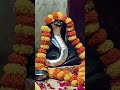 चांदी से बनाई गई तेजाजी महाराज की मूर्