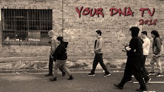 Download lagu Your DNA TV. 2016 - Ep 1. mp3