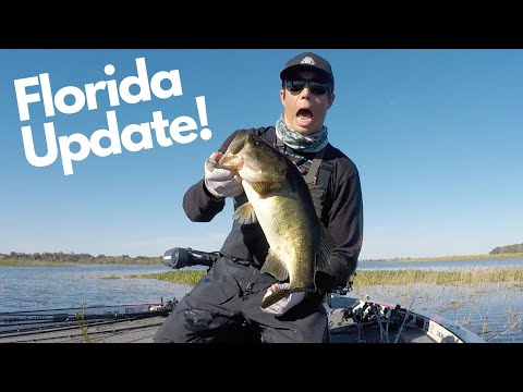 Florida Update!
