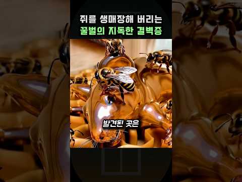 쥐를 생매장해 버리는 꿀벌의 지독한 결벽증