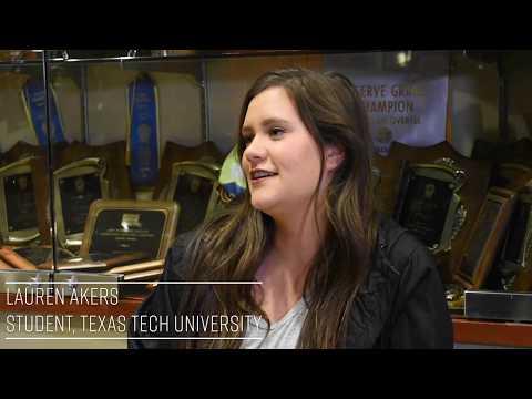 Teys Australia Internship