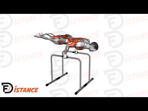 Dips en planche - Exercice Dips en planche en vidéo