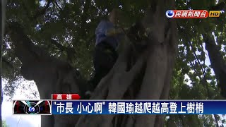 [問卦] 台南市政府說樹洞會長孑孓