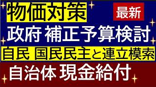 【最新】現金給付  自民党内で国民民主との連立を模索する動き！