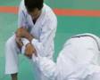 Bunkai Tekki Shodan