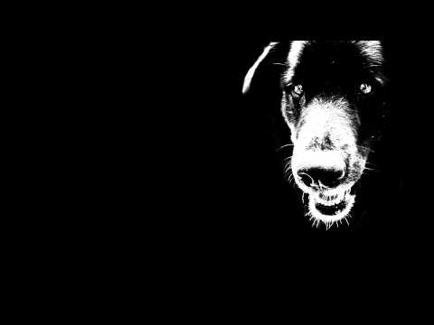 Black Dog - BLACK DOG - Falošné priateľstvo