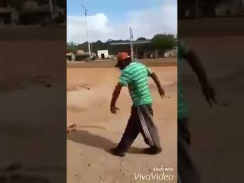 Beibe beibe do biruleibe leibe