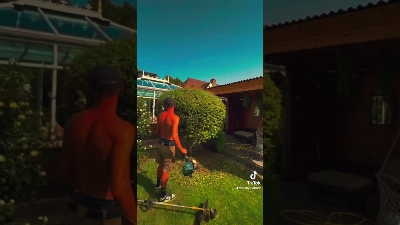 How I trim my bush #gardening #gardenlife #