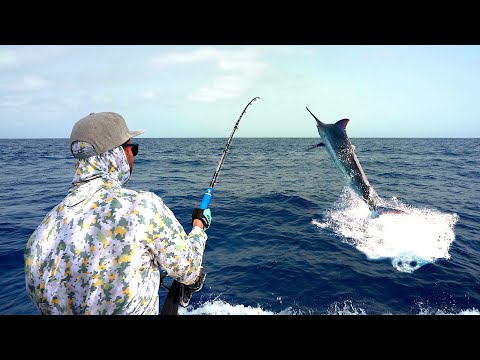 La RIVINCITA del MARLIN - Blue Marlin on SPINNING Rod