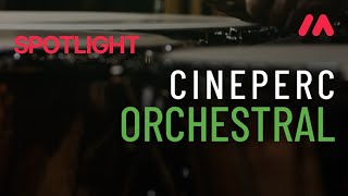 Video thumbnail for Musio Spotlight - CinePerc by Cinesamples