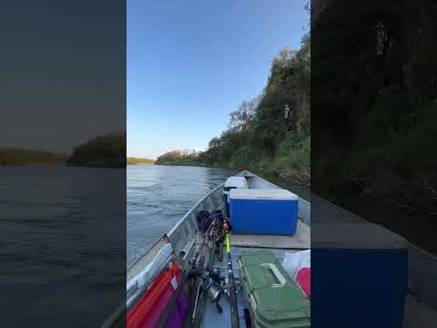Pesca do Ivaí - Paraná
