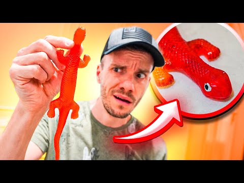 A LAGARTIXA VERMELHA PEGAJOSA - Família Brancoala