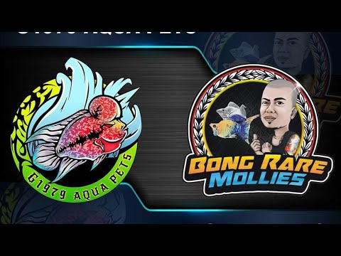 Quick Tour sa Petshop ng G1979 Aqua Pets Marilao x ASP Petshop | G1979xASP 002 | #g1979aquapets