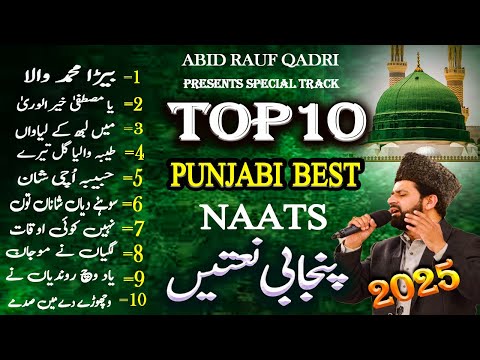 Top 10 punjabi naats 2025 | bara muhammad wala |best collection on punjabi naats | Abid Rauf Qadri