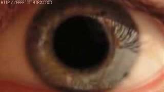 Butthole Surfers Sweatoaf